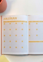Aylık Haftalık Planlayıcı, A4, Karton Kapak, Amerikan Cilt, Prizma Desenli - Görsel 3